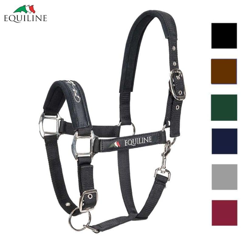 EQUILINE licol Timmy cheval cob poney Sellerie Equinoxe