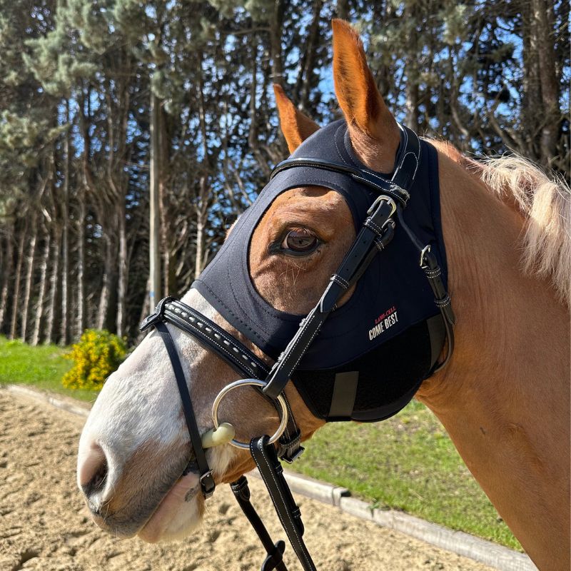 Masque COME BEST Titanium sans oreilles poney Lamicell Sellerie Équinoxe