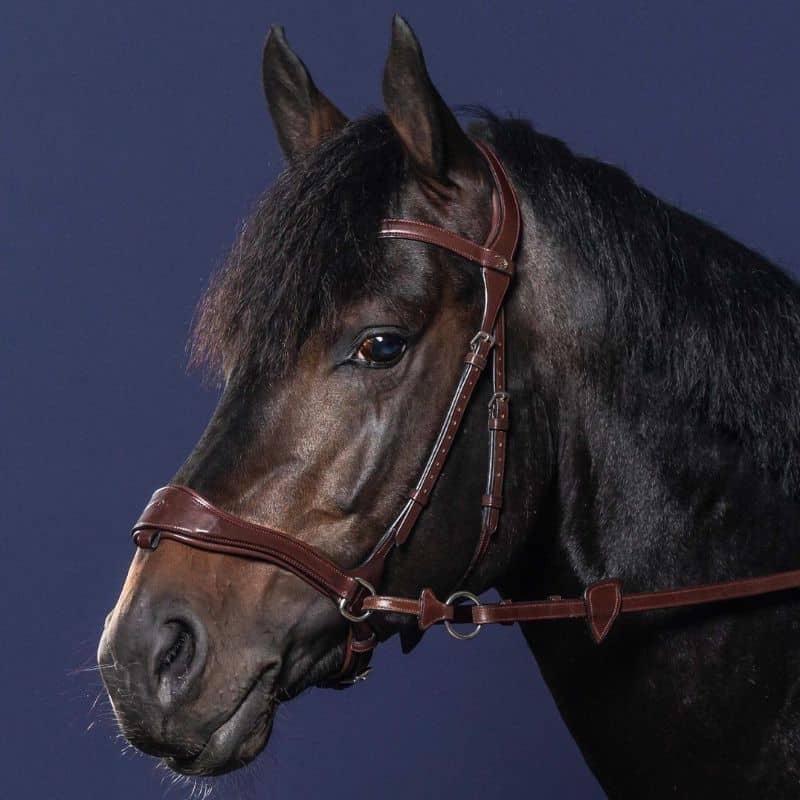 Bridon D Motion 5 en 1 NEW ENGLISH COLLECTION (2)