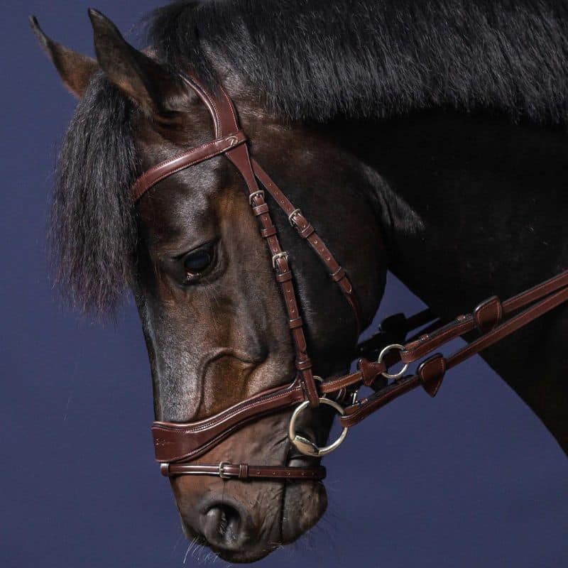 Bridon D Motion 5 en 1 NEW ENGLISH COLLECTION (3)