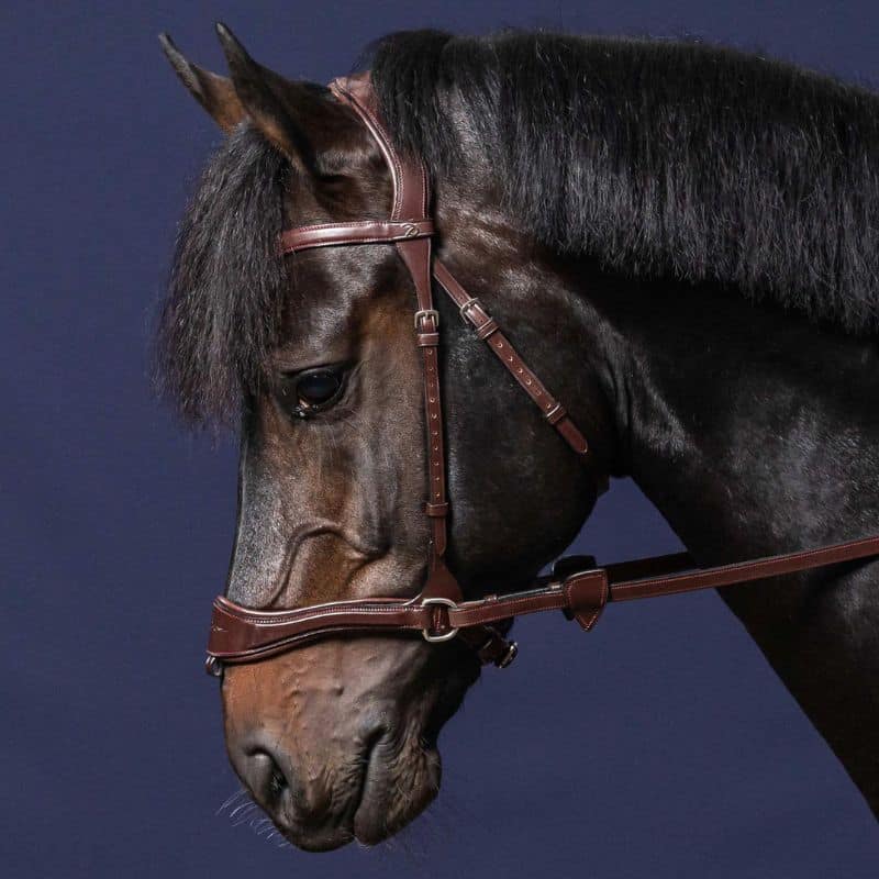 Bridon D Motion 5 en 1 NEW ENGLISH COLLECTION (4)