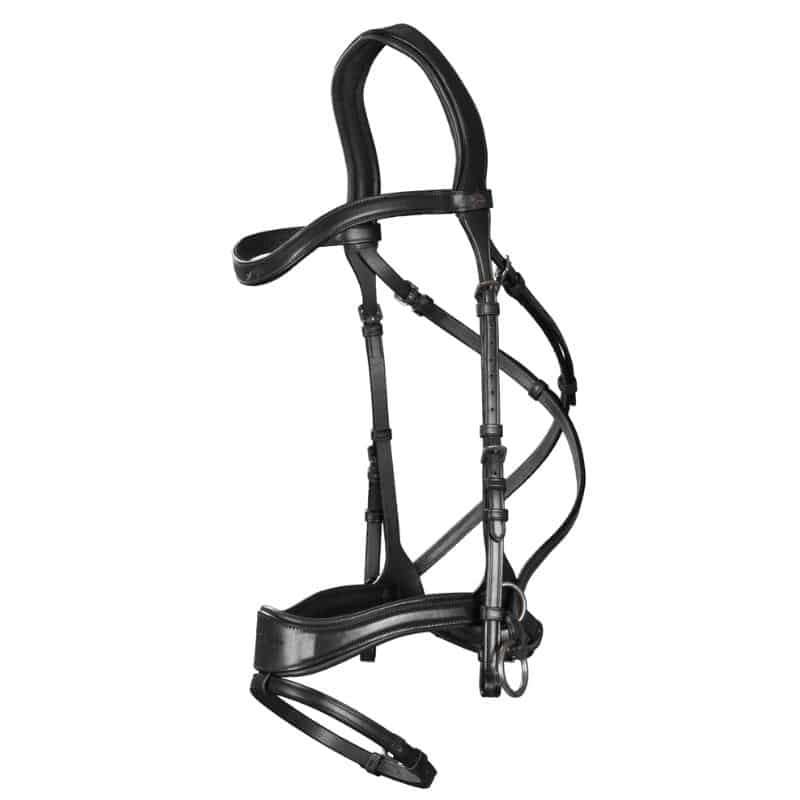 Bridon D Motion 5 en 1 NEW ENGLISH COLLECTION (5)