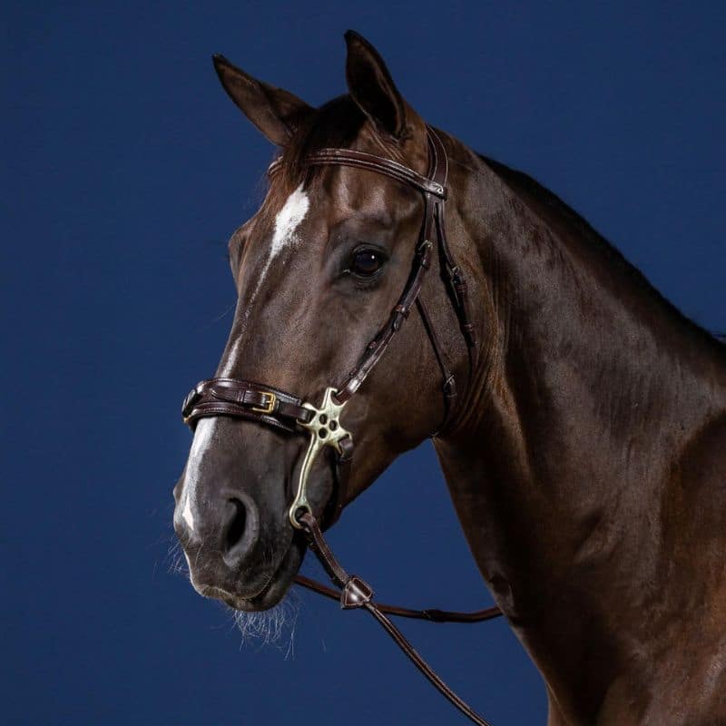 DYON BRIDON HACKAMORE BRUN FULL US COLLECTION (2)