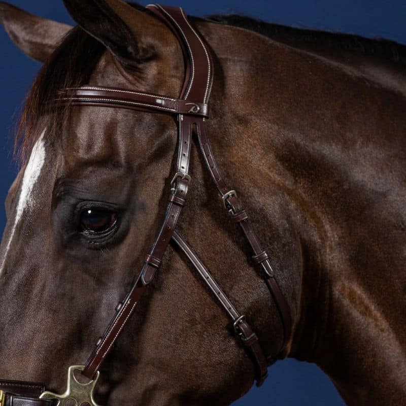 DYON BRIDON HACKAMORE BRUN FULL US COLLECTION (3)