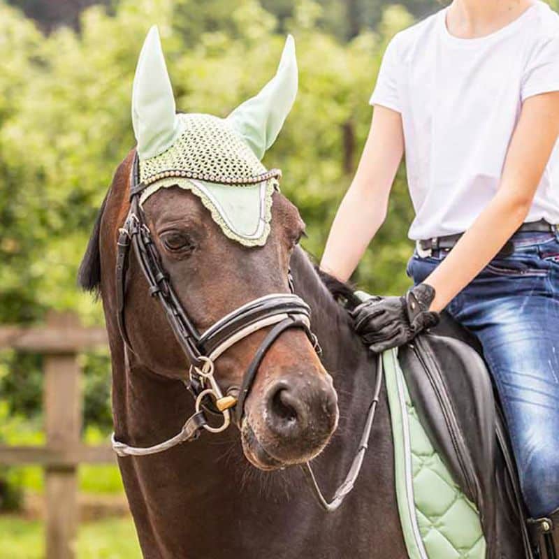 LAMICELL - Bonnet Venus vert