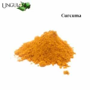 Curcuma 1,6 L pour équidés, juments, chevaux et poneys Ungula Naturalis by Sellerie Equinoxe