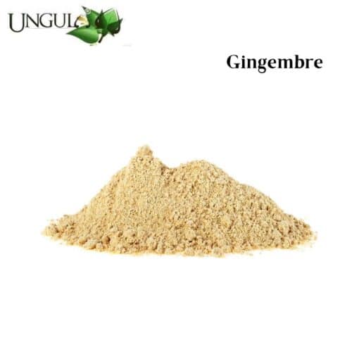 Gingembre 1,6 L Ungula Naturalis by Sellerie Équinoxe