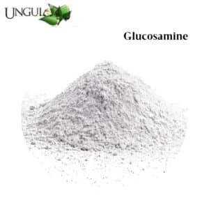 Glucosamine pour équidés, chevaux et poneys Ungula Naturalis by Sellerie Equinoxe