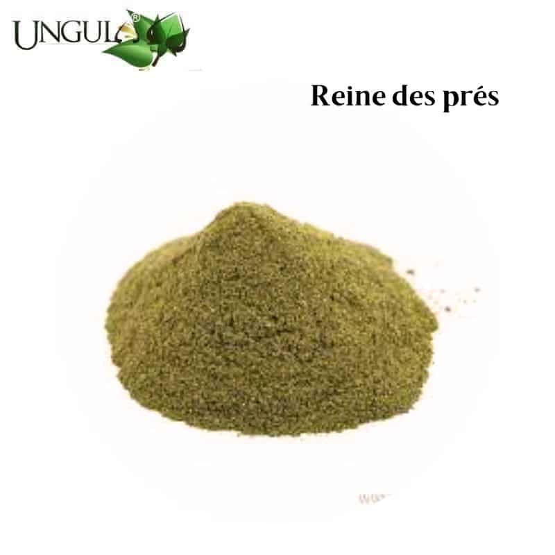 Reine des prés 1,6 L Ungula Naturalis by Sellerie Équinoxe