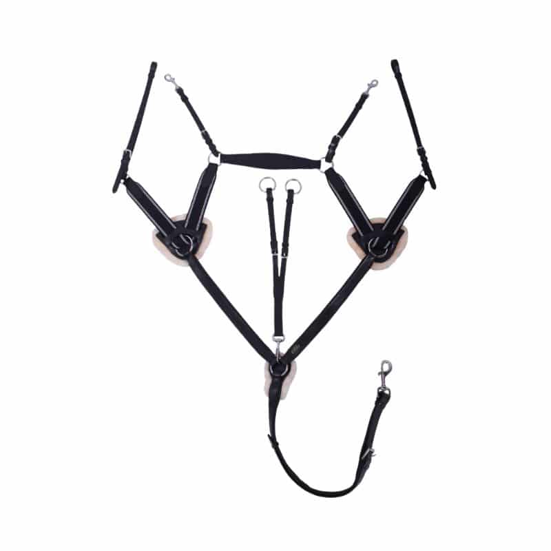 Collier de chasse Ontario noir QHP equinoxe-shop