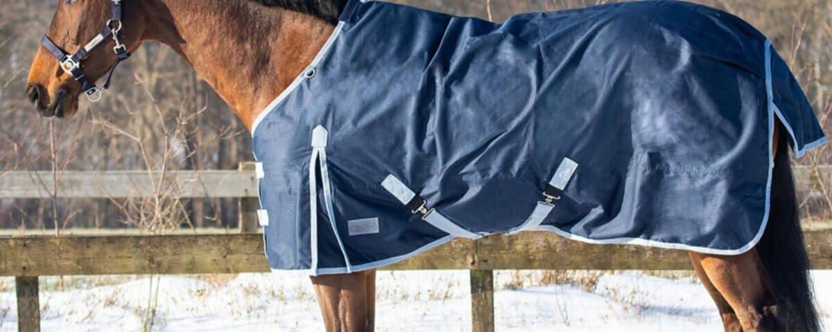 Comment protéger vos chevaux du froid EQUINOXE-SHOP