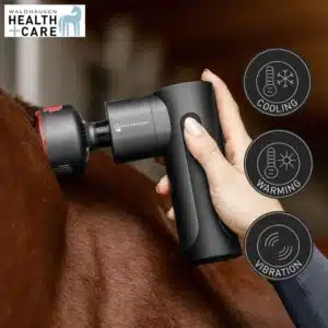 Health + Care Appareil de massage Pro Hot & Cold Waldhausen 5700600 Sellerie Equinoxe Shop Fuveau Health + Care Appareil de massage Pro Hot & Cold Waldhausen 5700600 Sellerie Equinoxe Shop Fuveau