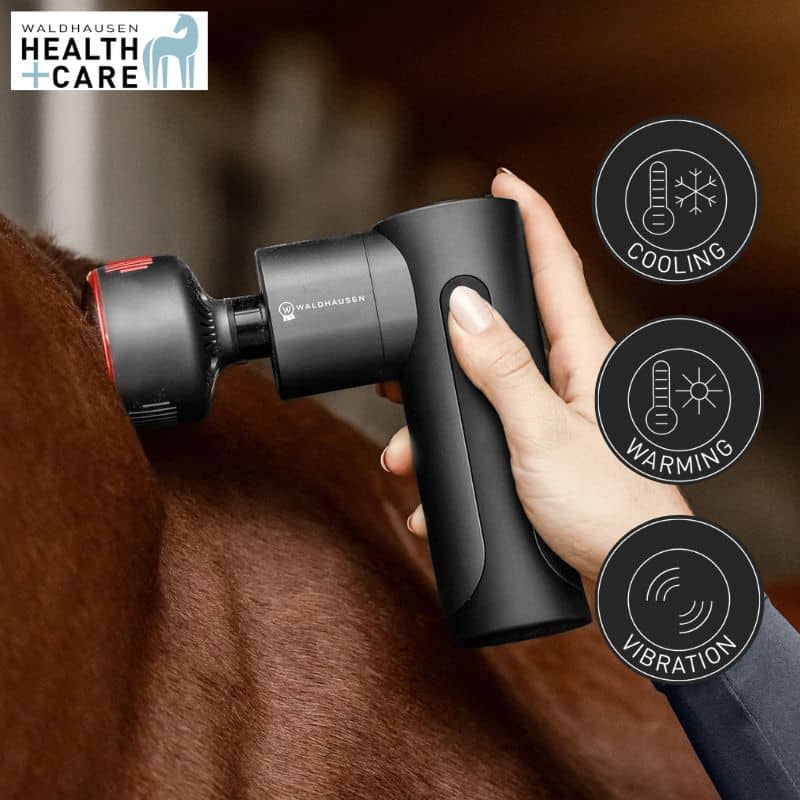 Health + Care Appareil de massage Pro Hot & Cold Waldhausen 5700600 Sellerie Equinoxe Shop Fuveau