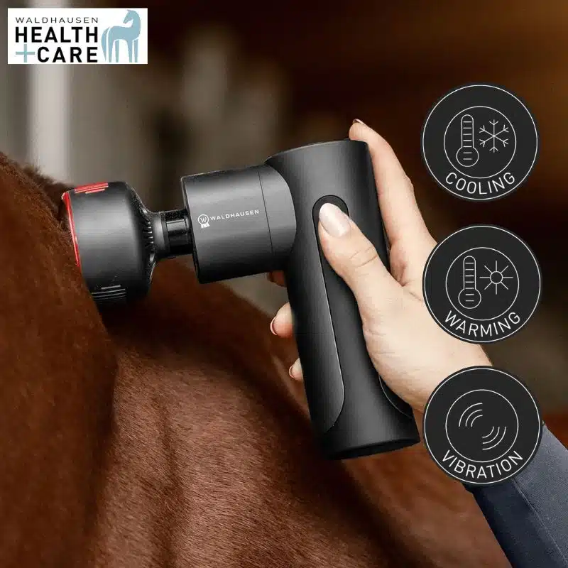 Health + Care Appareil de massage Pro Hot & Cold Waldhausen 5700600 Sellerie Equinoxe Shop Fuveau