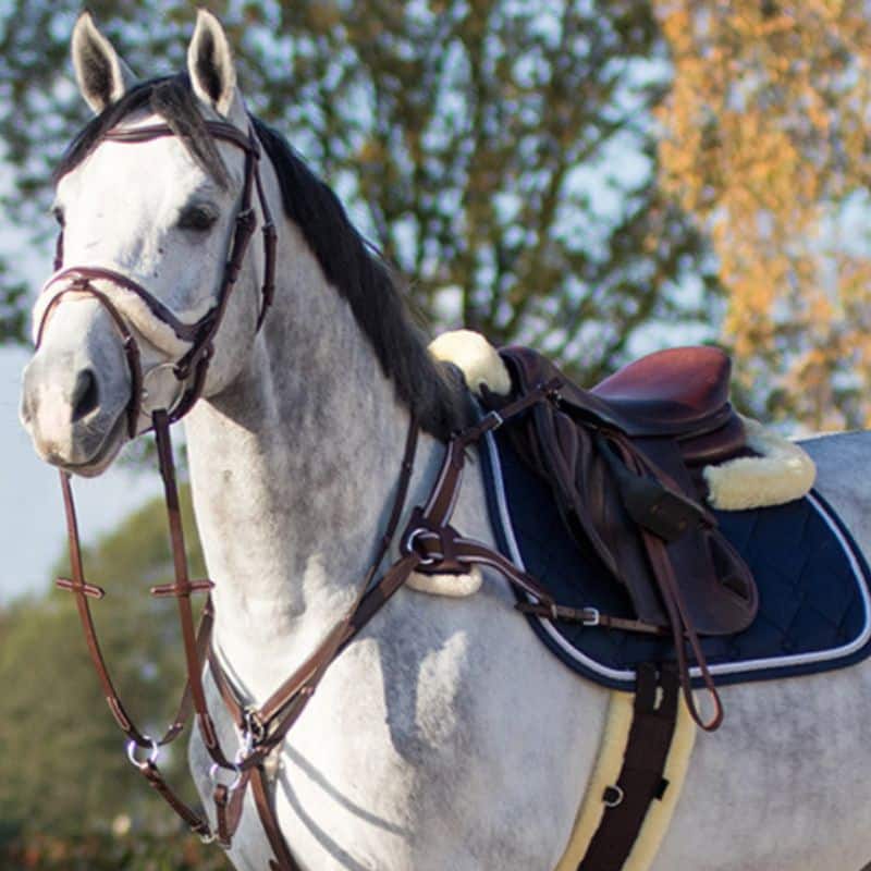 Collier de chasse Ontario QHP equinoxe-shop