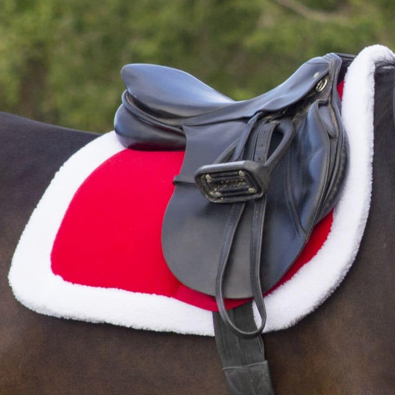 QHP Tapis Noel-cheval et poney Tapis de noel QHP cheval equinoxe-shop.com