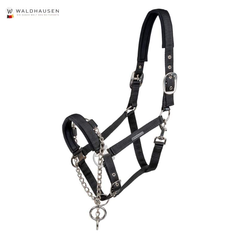 Licol Pro Safety Waldhausen Equinoxe-shop