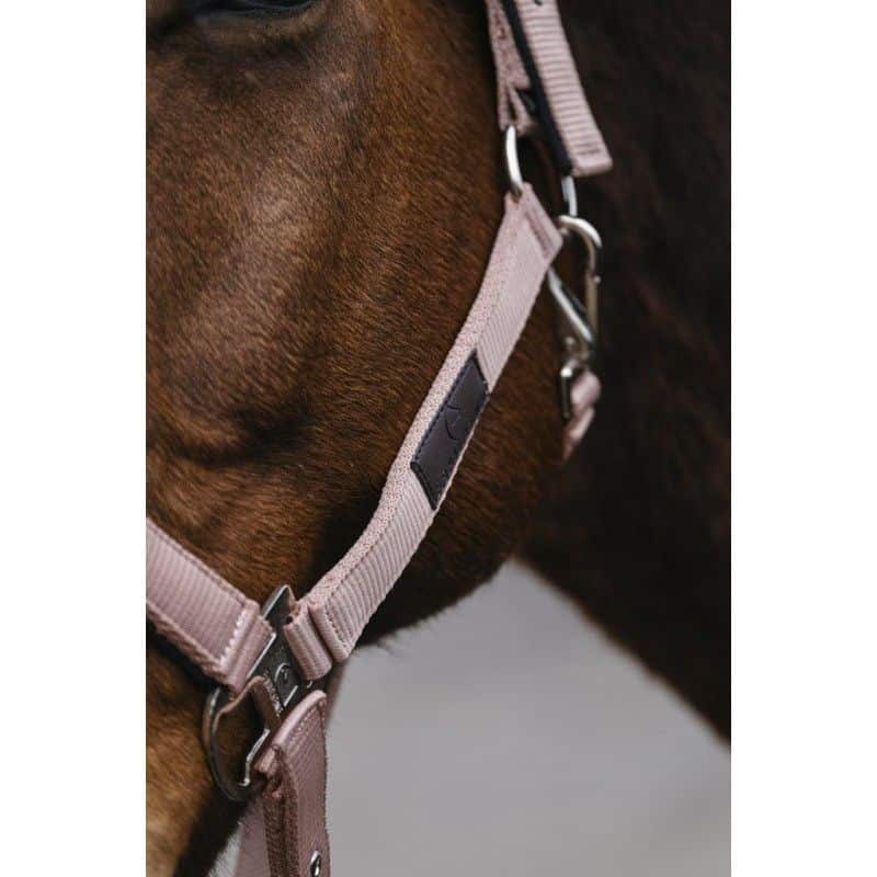 Licol Spring Color Rose Equi-thème cheval equinoxe-shop