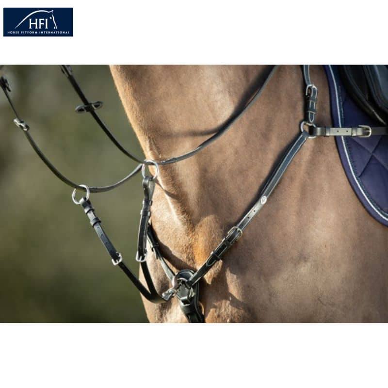 Collier de chasse avec pont et martingale HFI noir Sellerie Equinoxe