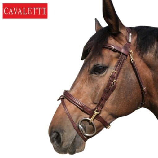 Bridon Easy Cavaletti havane cheval Sellerie Equinoxe