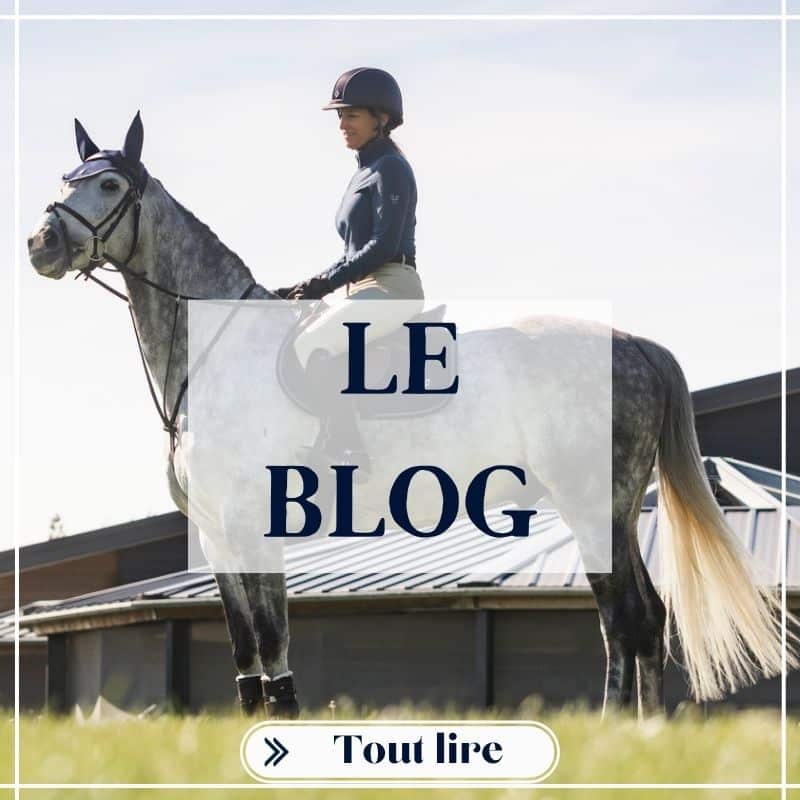 Le Blog Sellerie Equinoxe