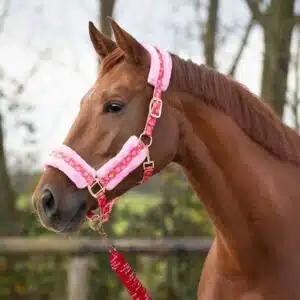 Set Licol et longe Valentine cheval QHP Sellerie Equinoxe