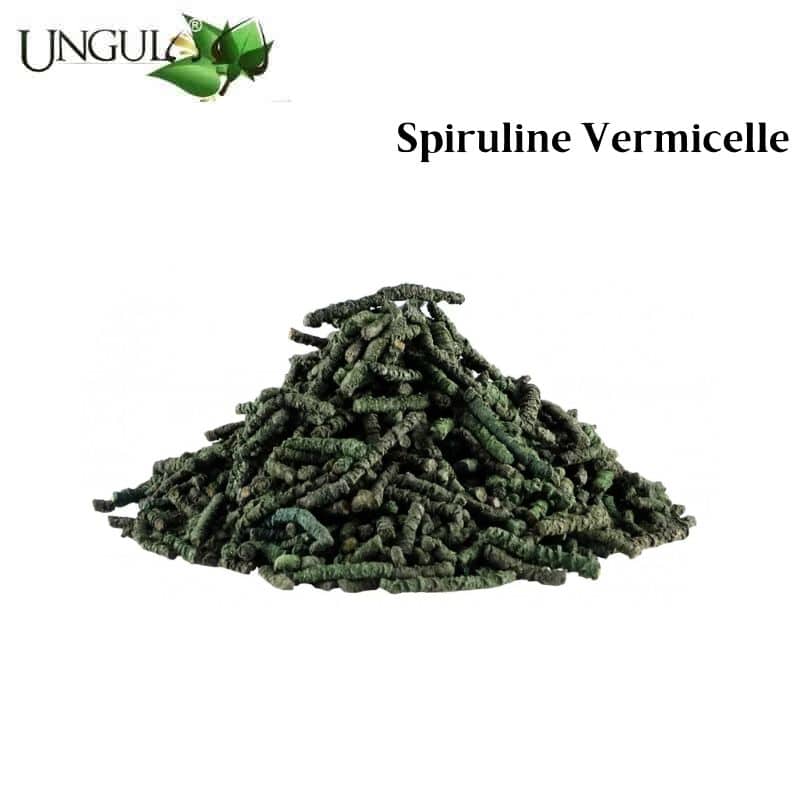 Spiruline en vermicelle pour chevaux Ungula Naturalis by Equinoxe-Shop