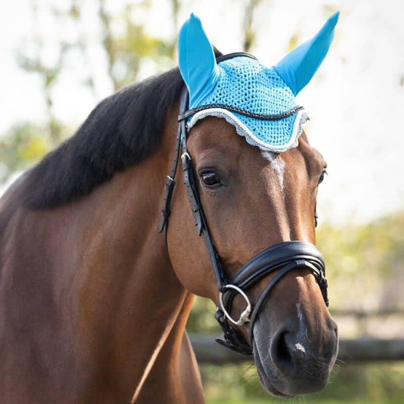 Bonnet anti-mouches COLOR QHP Q-Essentials cheval bleu ciel sky Bonnet anti-mouches COLOR QHP Q-Essentials cheval et poney Bleu Ciel Sky Sellerie Equinoxe