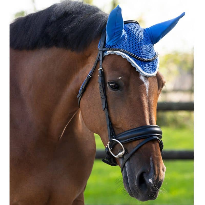 Bonnet anti-mouches COLOR QHP Q-Essentials cheval bleu roi cobalt Bonnet anti-mouches COLOR QHP Q-Essentials cheval et poney Bleu Roi Cobalt Sellerie Equinoxe