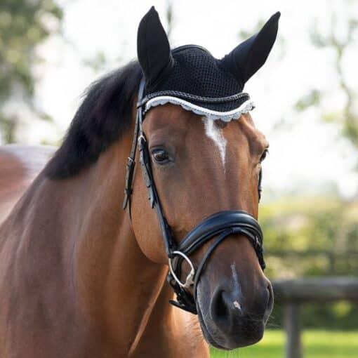 Bonnet anti-mouches COLOR QHP Q-Essentials cheval et poney Noir Sellerie Equinoxe