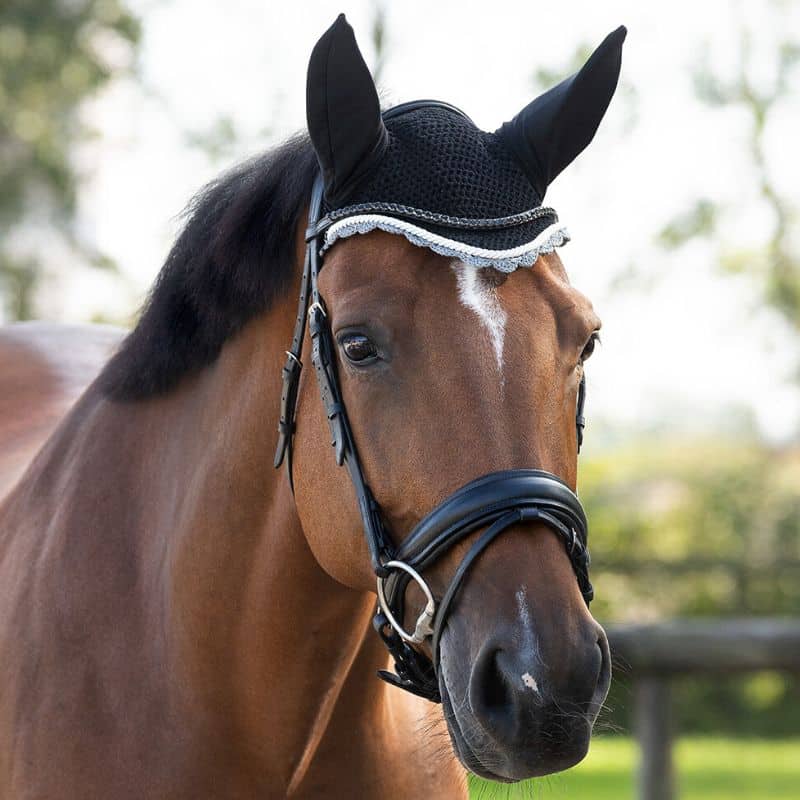Bonnet anti-mouches COLOR QHP Q-Essentials cheval noir Bonnet anti-mouches COLOR QHP Q-Essentials cheval et poney Noir Sellerie Equinoxe