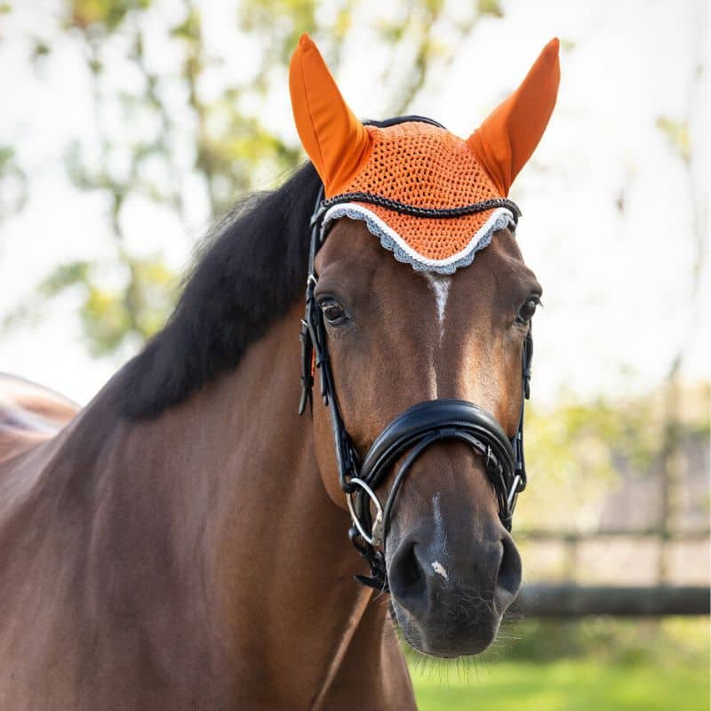 Bonnet anti-mouches COLOR QHP Q-Essentials cheval orange Bonnet anti-mouches COLOR QHP Q-Essentials cheval et poney Orange Sellerie Equinoxe