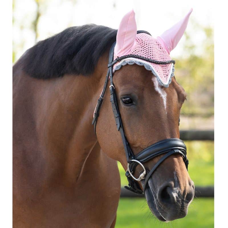 Bonnet anti-mouches COLOR QHP Q-Essentials cheval rose pâle Bonnet anti-mouches COLOR QHP Q-Essentials cheval et poney Rose Pale Sellerie Equinoxe