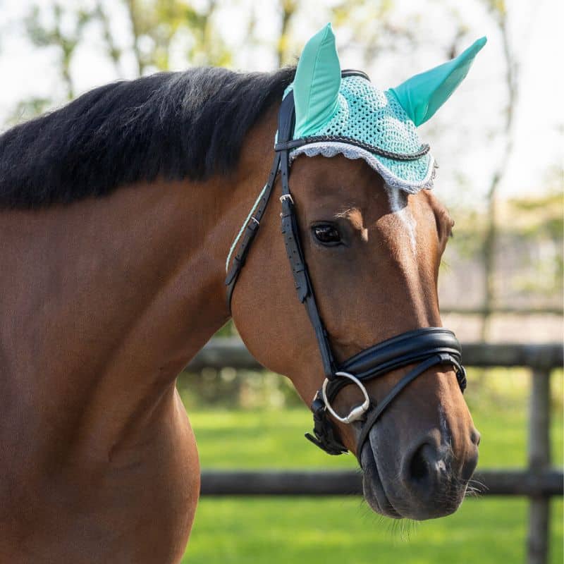 Bonnet anti-mouches COLOR QHP Q-Essentials cheval turquoise ice-green Bonnet anti-mouches COLOR QHP Q-Essentials cheval et poney Bleu Turquoise Ice Green Sellerie Equinoxe