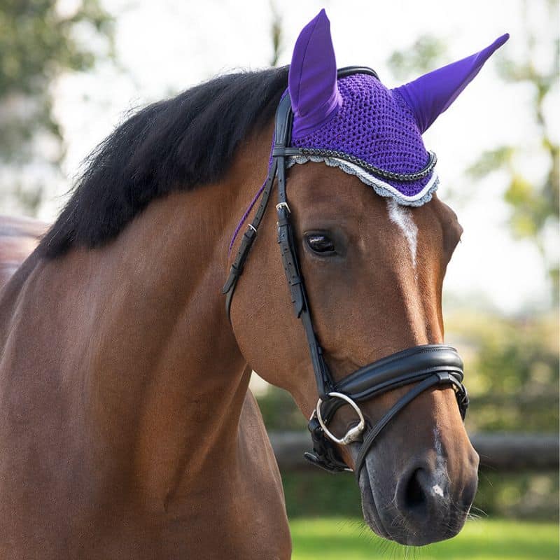 Bonnet anti-mouches COLOR QHP Q-Essentials cheval violet Bonnet anti-mouches COLOR QHP Q-Essentials cheval et poney Violet Sellerie Equinoxe