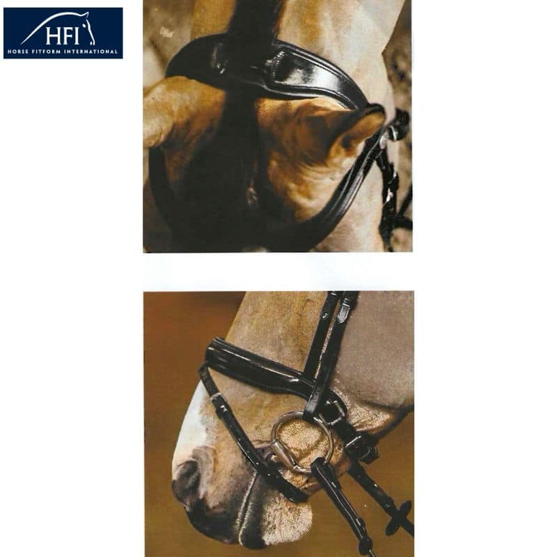 Bridon Pull Back Verona Pro Line HFIPL200 Equinoxe-Shop