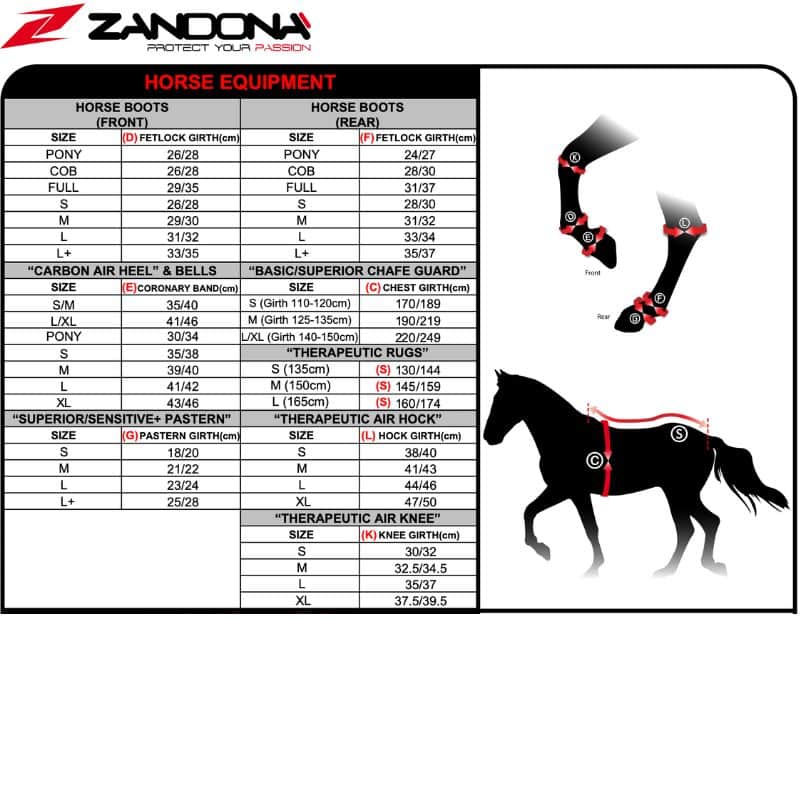 Guide des tailles Zandona Equestrian Horses by Equinoxe-Shop