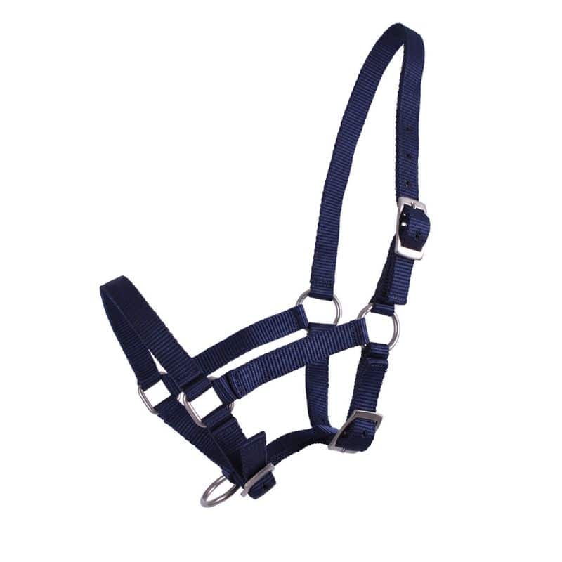 Licol poulain QHP Q-Essentials marine Equinoxe-Shop