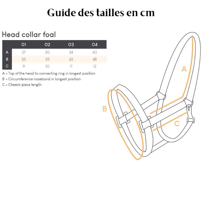 Licol poulain QHP Q-Essentials guide des tailles Equinoxe-Shop