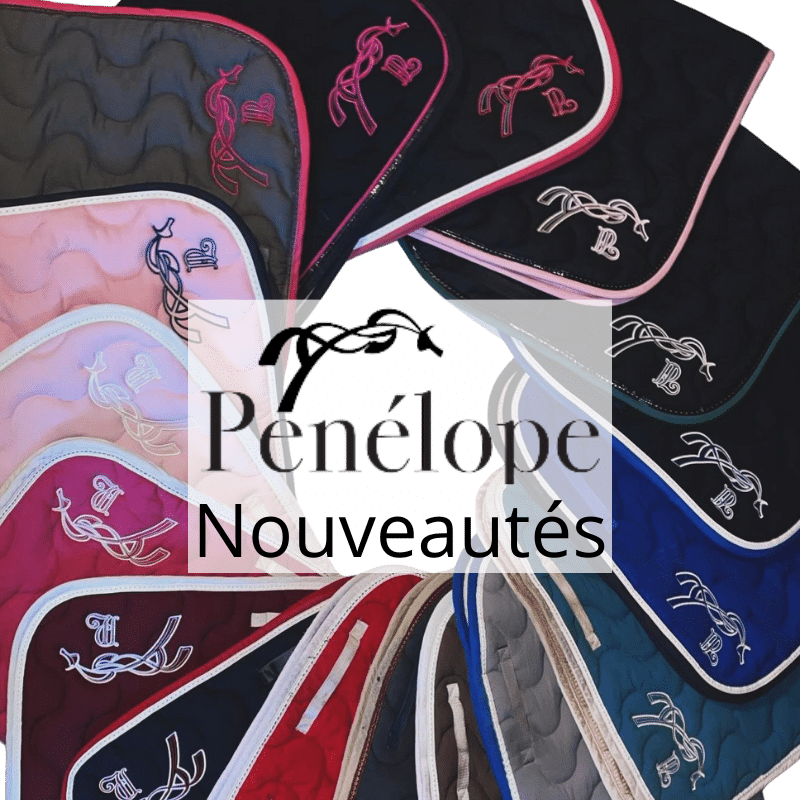 nouveautés Pénélope Collections coloris tapis classique 2024 Equinoxe-Shop