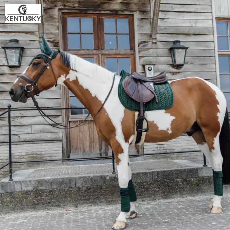 Ensemble Tapis et Bonnet Velvet Pearls Vert KENTUCKY Equinoxe-shop