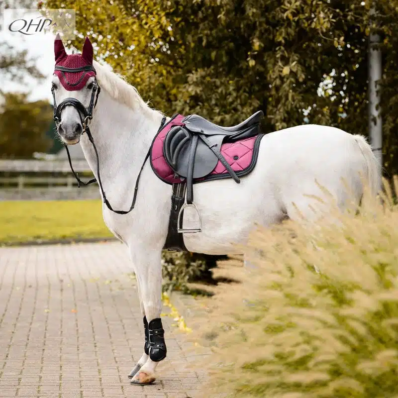 Tapis mixte Zahra QHP AW25 3233 Wine red Sellerie Equinoxe Shop Fuveau Tapis mixte Zahra QHP AW25 3233 Wine red Sellerie Equinoxe Shop Fuveau