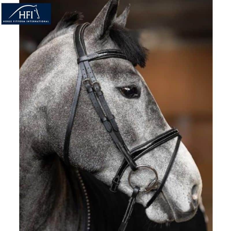 Bridon Laqué Painted HFI021 noir Sellerie Equinoxe
