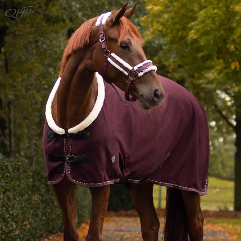 Couverture softshell polaire Diamond QHP Julin Cheval Sellerie Equinoxe