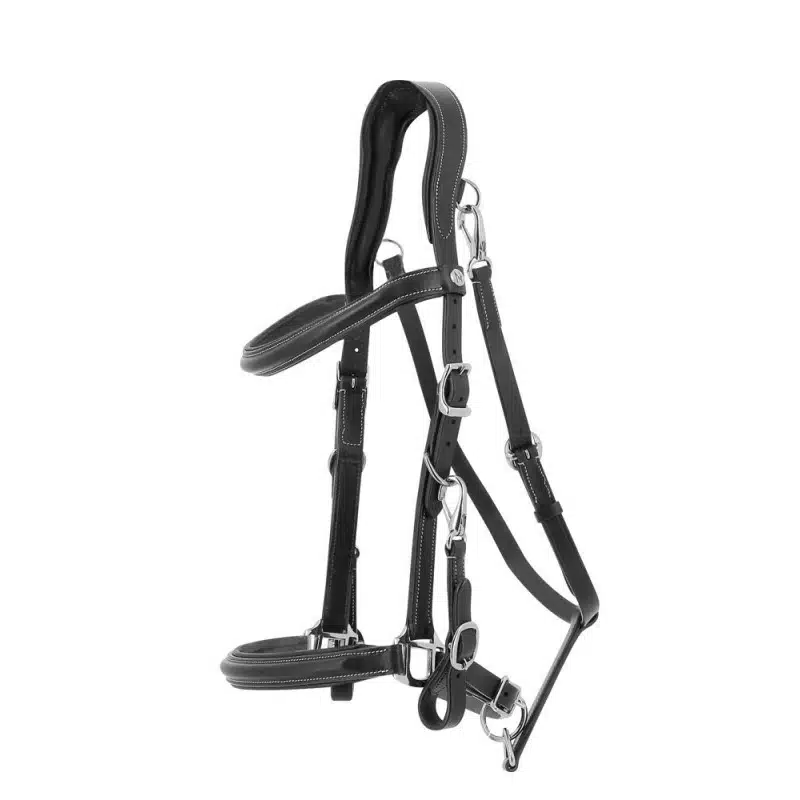 bridon-licol Trekking Norton cheval noir Bridon-licol Trekking Norton cheval noir Equinoxe-Shop