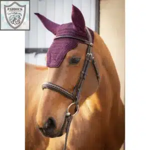 Bonnet court PREMS Paddock Sport prune Sellerie Equinoxe-Shop