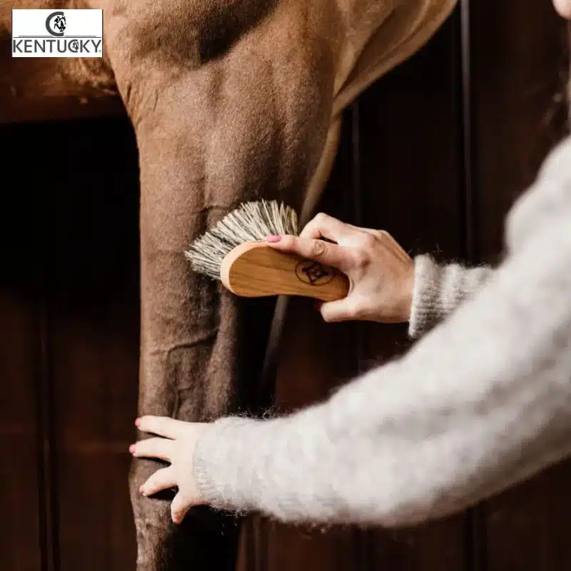 Bouchon dur KENTUCKY Sellerie Equinoxe cheval