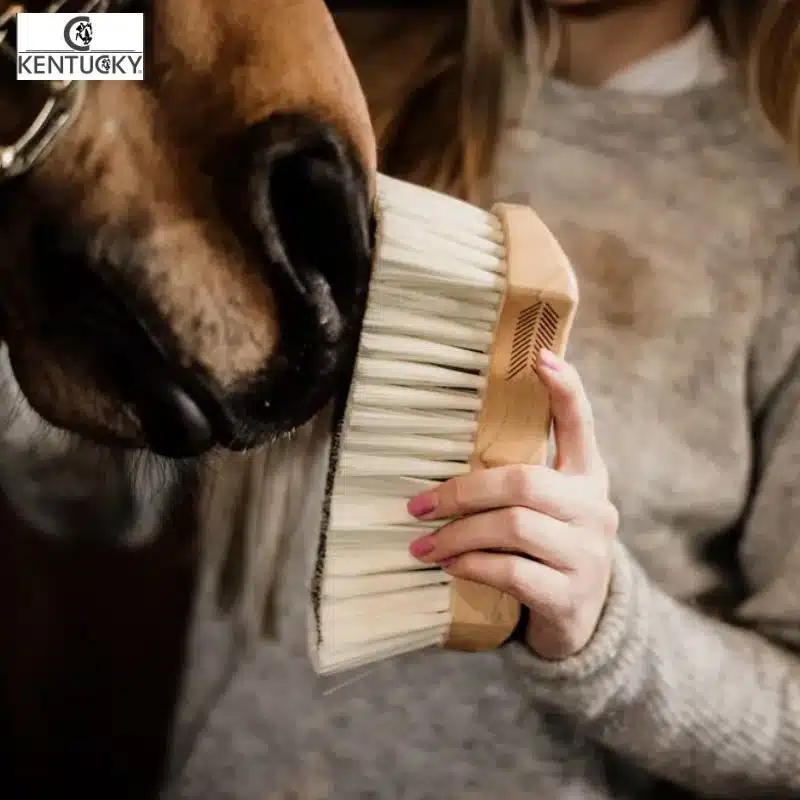 Bouchon à poils doux KENTUCKY Sellerie Equinoxe cheval