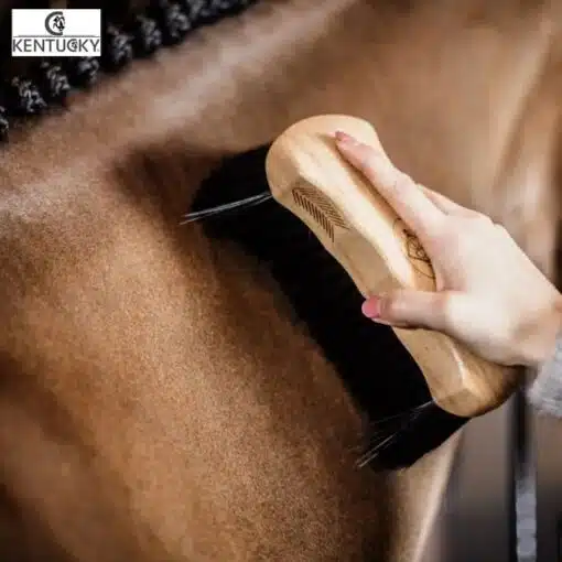 Bouchon à poils durs KENTUCKY Sellerie Equinoxe cheval