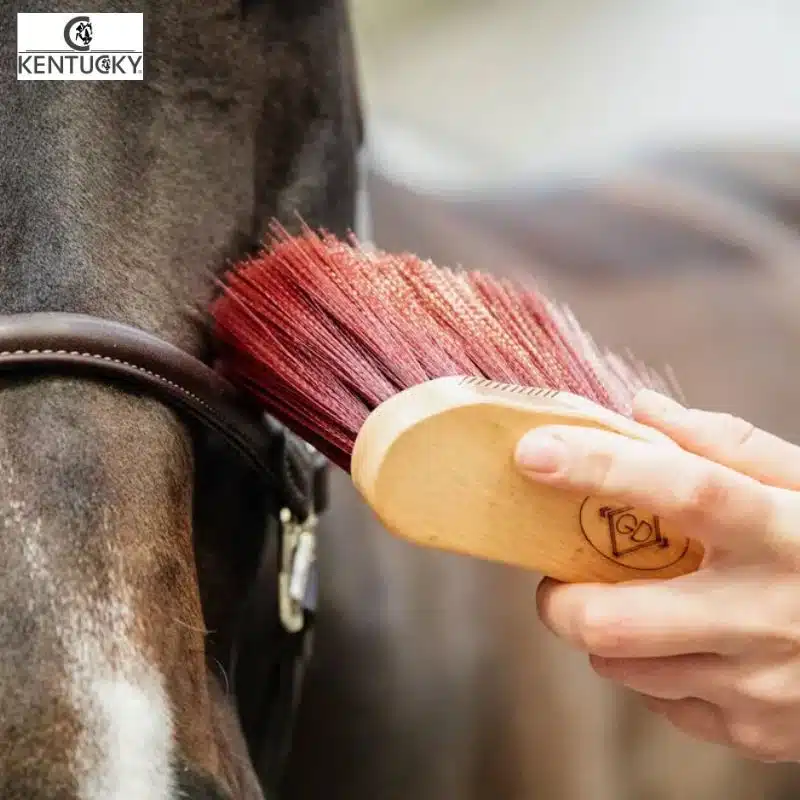 Bouchon à poils longs Choco KENTUCKY Sellerie Equinoxe